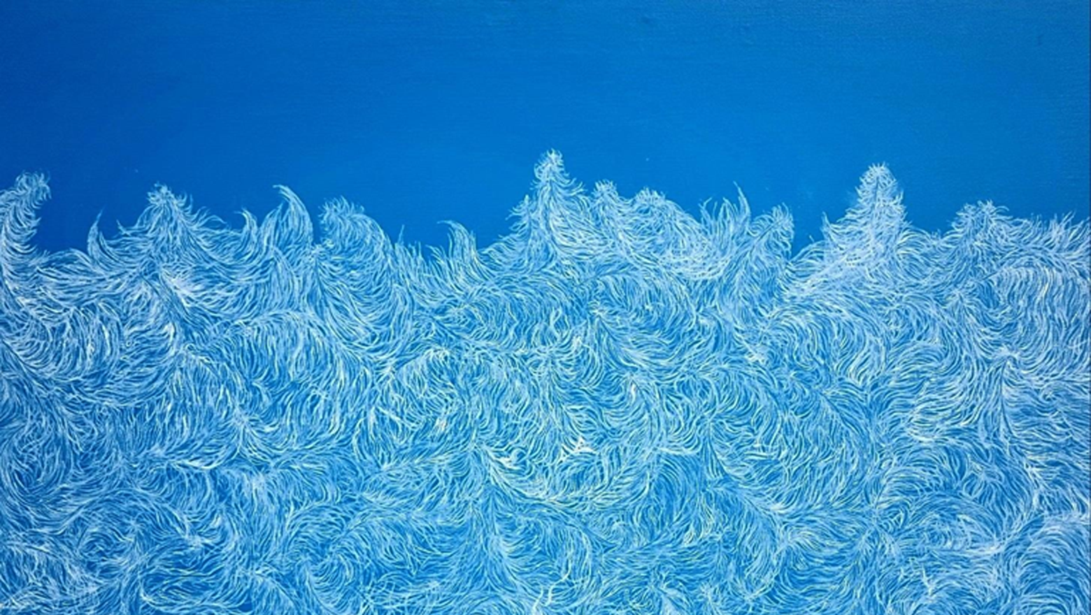 수야