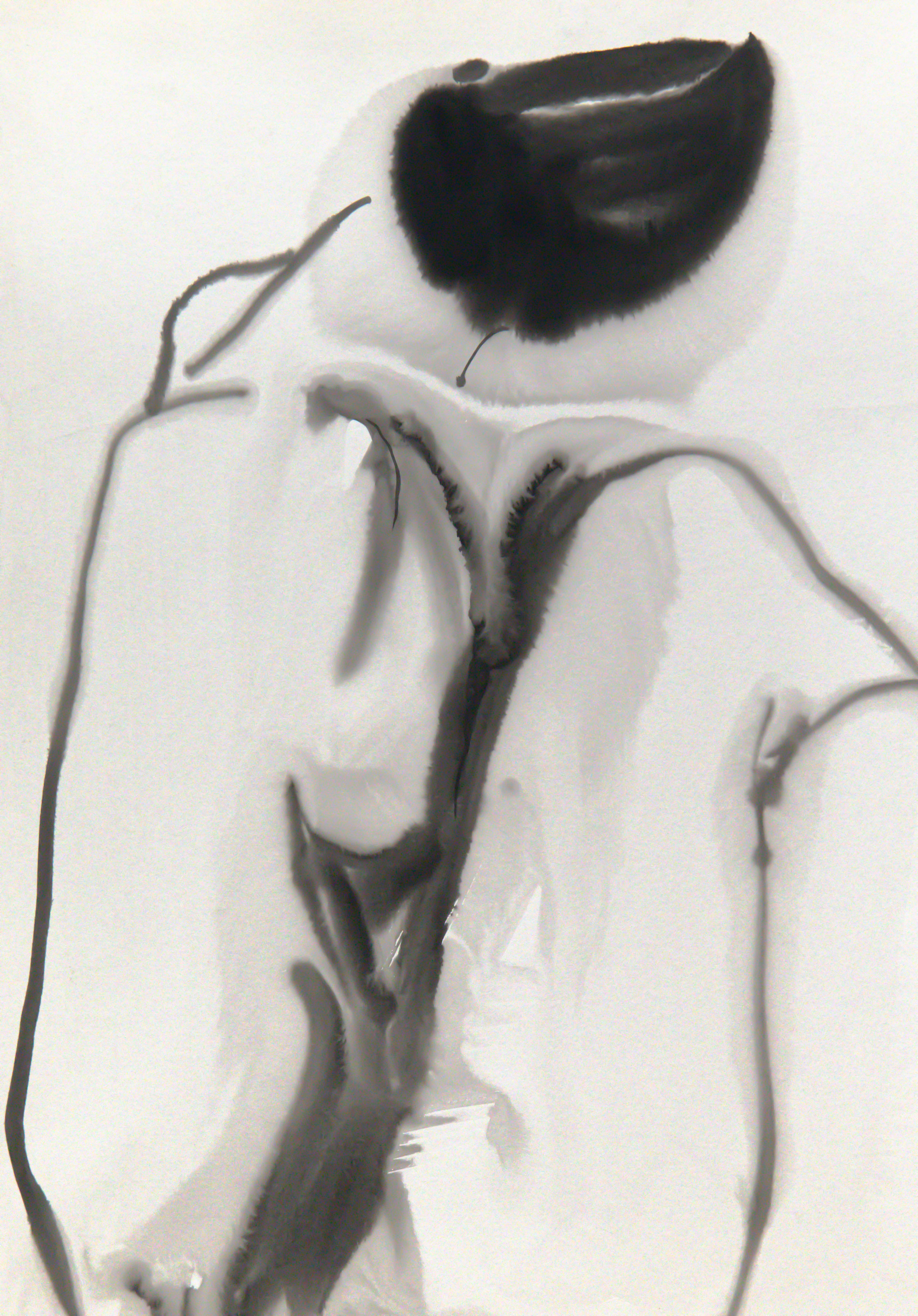 body drawing002 - 서윤