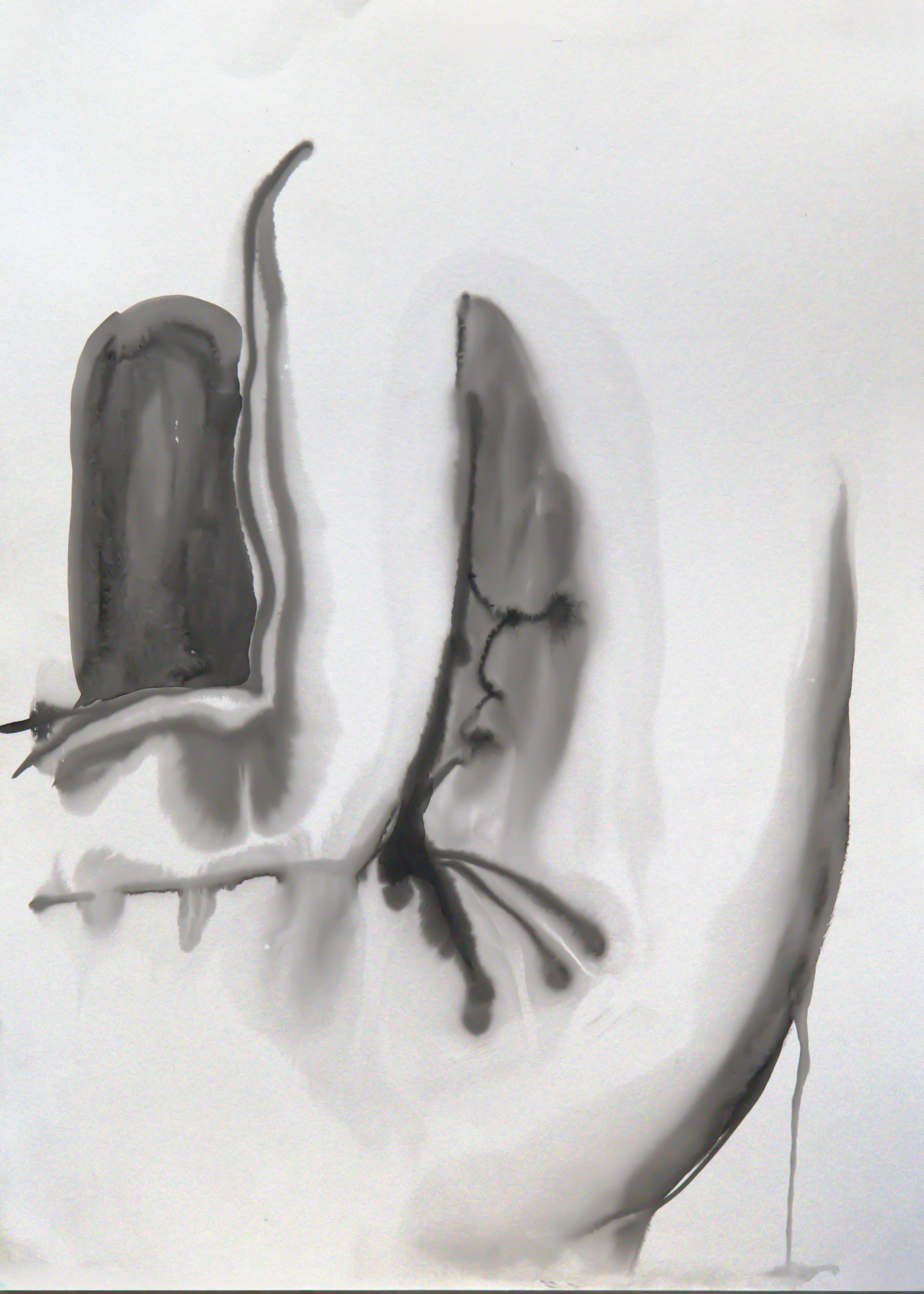 body drawing001 - 서윤